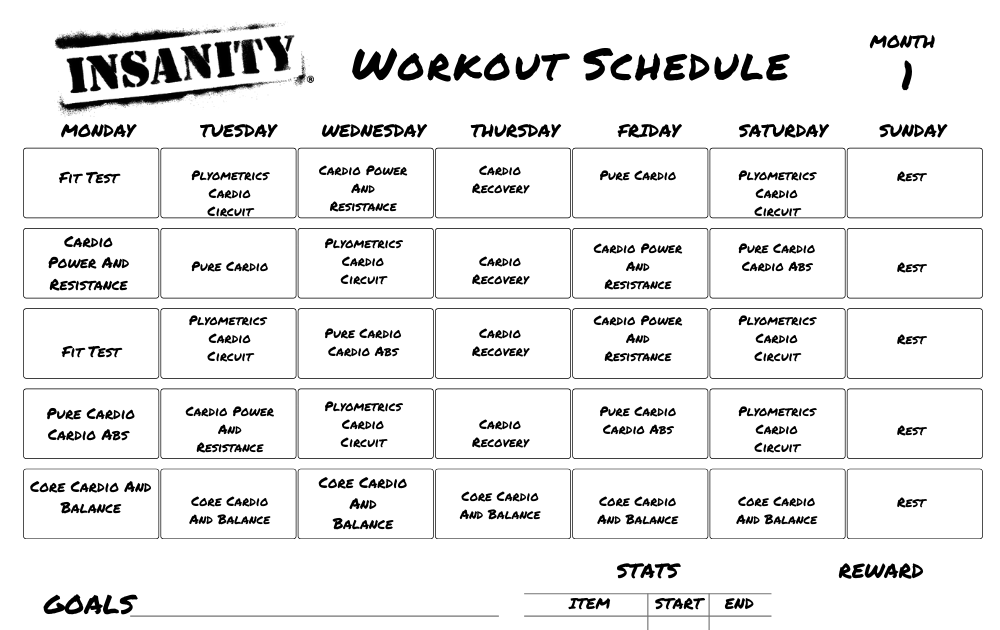  Download Insanity Workout Zip File for push your ABS