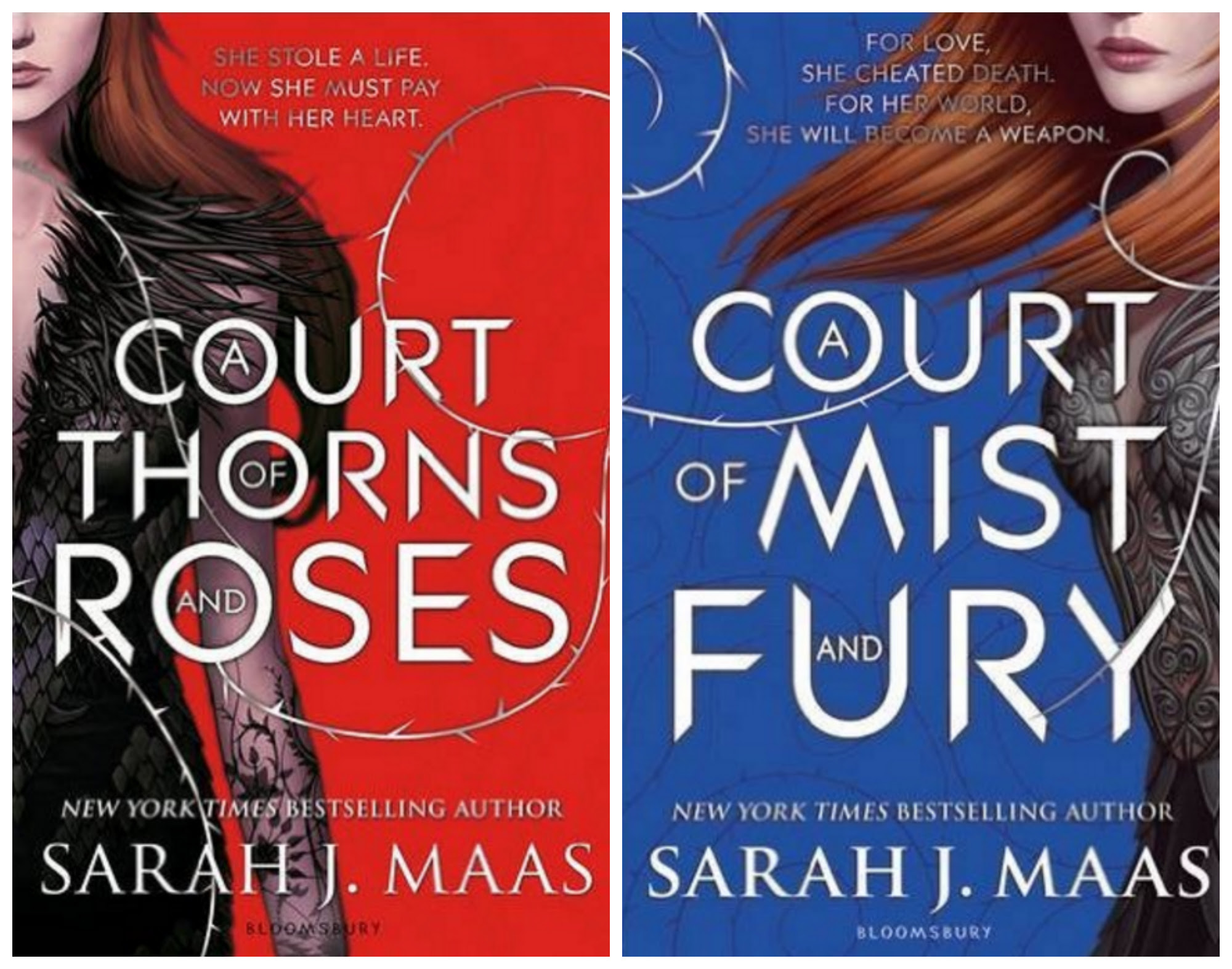 Resultado de imagen para a court of thorns and roses SAGA