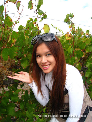 me and grapes on vines