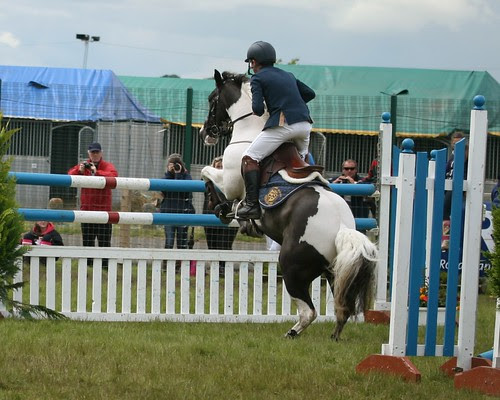 Showjumping