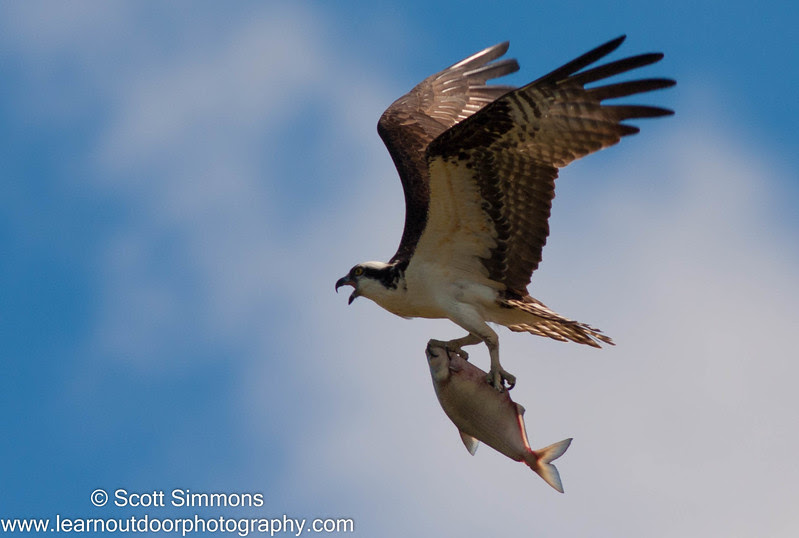 Photo & Video Sharing by SmugMug Photo & Video Sharing by SmugMug