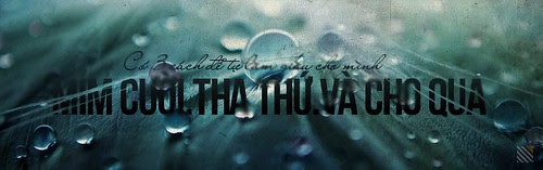RGB.vn_typography_quote_6_