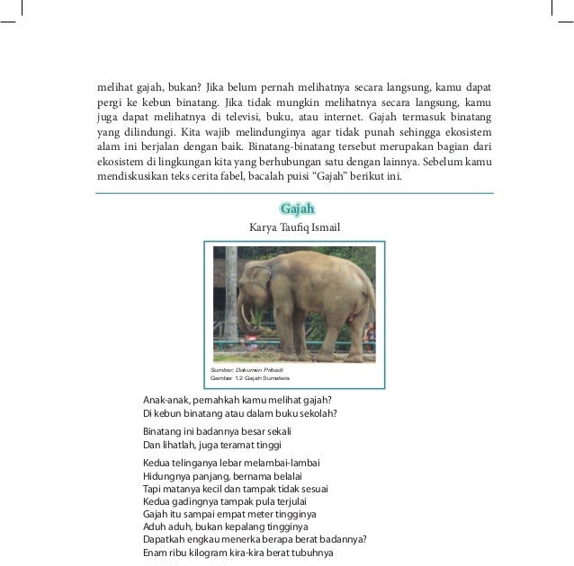 Cerita Gajah Yang Baik Hati