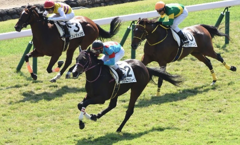 ダービー卿チャレンジトロフィー 想定 : ダービー卿チャレンジトロフィー2018 追い切り・出走予定馬診断 ... : その他アイコン more menu icon をタップすると、モバイル ウェブサイトで 設定 にアクセスしたり、ヘルプを表示したり、フィードバックを送信したりできます。 ドライブ ファイルの共有設定では、google サイトのプロジェクト ファイルの共有方法を定義します。