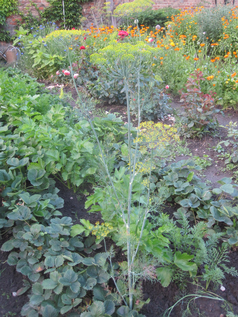 38+ neu Bild Gute Nachbarn Schlechte Nachbarn Im Garten