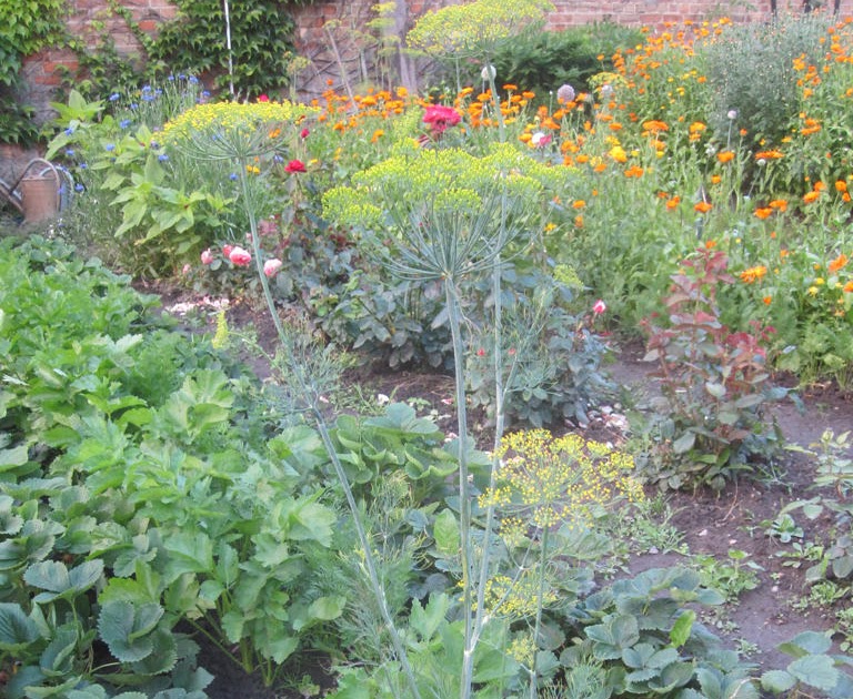 38+ neu Bild Gute Nachbarn Schlechte Nachbarn Im Garten
