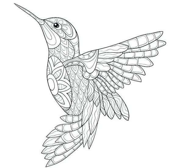 Bird Mandala Coloring Pages - Page Sessions