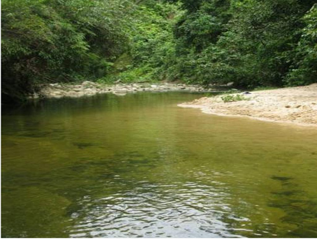 PARQUE NACIONAL CARRASCO ~ Natural Extreme