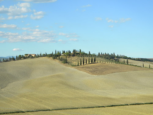 DSCN5502