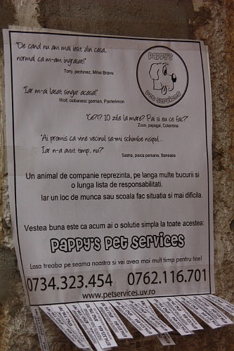 poster