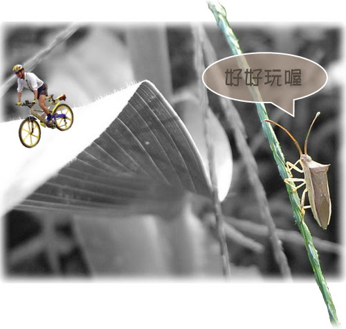 無限台南/好好玩喔