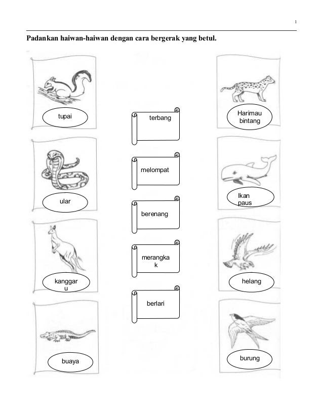 Contoh Soalan Ujian Darjah 2 - Main Game w