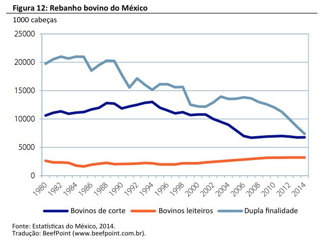 FIGURA 12 - Rabobank - T1