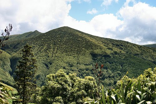20090614-vs-0552