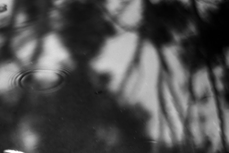 Puddle