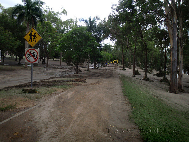 mud city_c