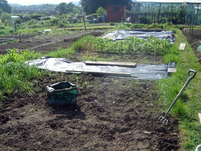 Our allotment. Our allotment.