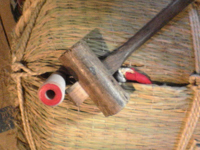 DSC01373.JPG