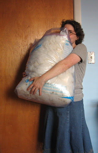 cormo fleece, to scale