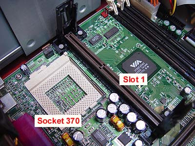 Slot 1 socket 370 adapter