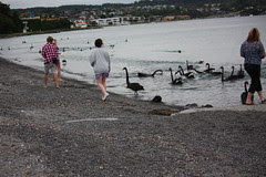 IMG_8556