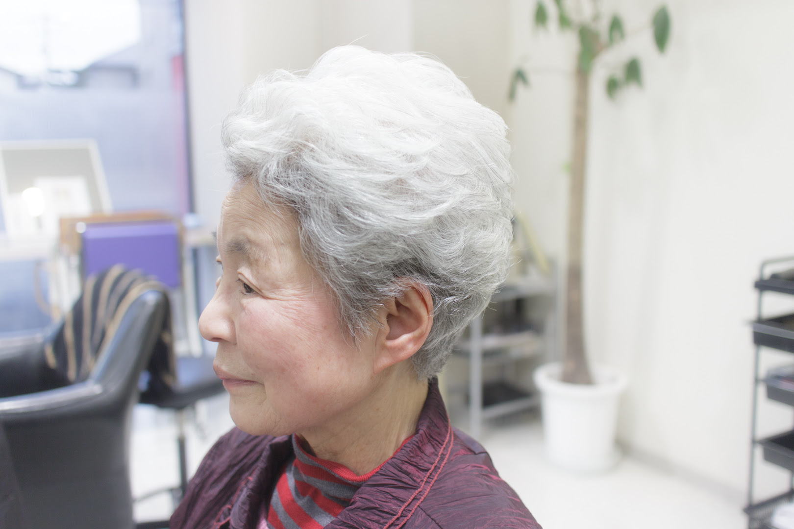 ロイヤリティフリー おばあちゃん 髪型 画像 最高のヘアスタイルのインスピレーション