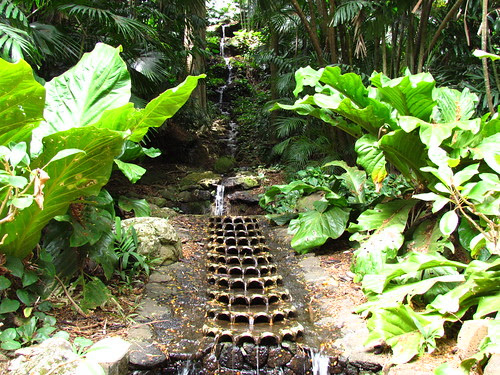 Allerton Garden