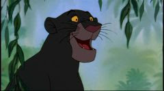 Junglebook bagheera020