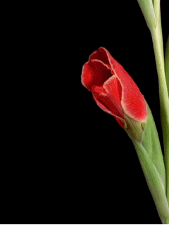 0056