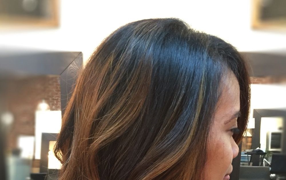 9. How to Transition from Dark Hair to Honey Blonde - wide 2