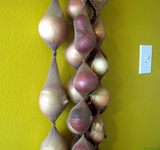 medias cebollas