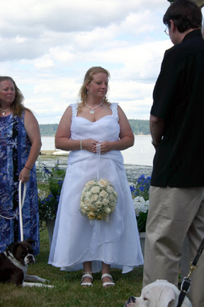071WEDDI