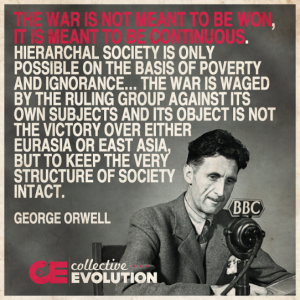orwellon war