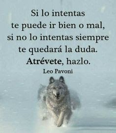 Featured image of post The Best 25 Imagenes De Lobos Con Frases De Superacion