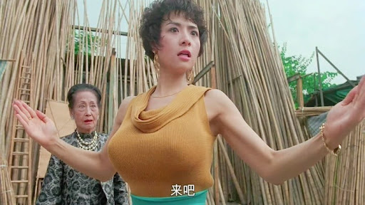 叶子楣明星资料大全-叶子楣动态_叶子楣电视剧电影-爱奇艺泡泡