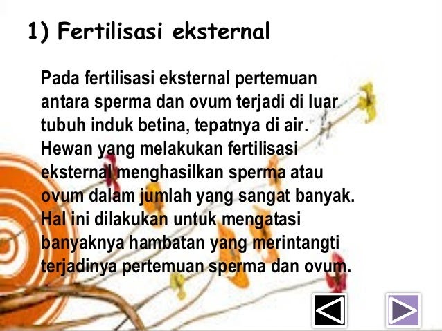 55+ Contoh Hewan Fertilisasi Eksternal Dan Internal