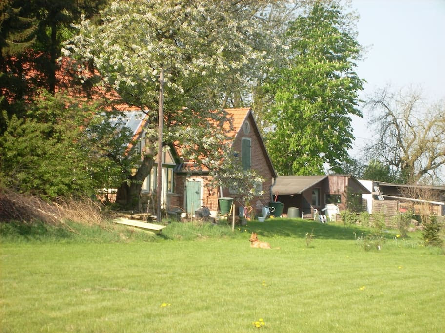 Haus Zur Miete In Wildeshausen Gesucht | Lizzie Kobulashvili