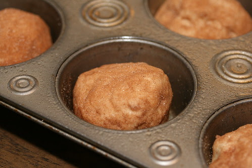 Food Librarian - Snickerdoodle Muffin