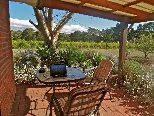 Linger Longer Vineyard Mclaren Vale