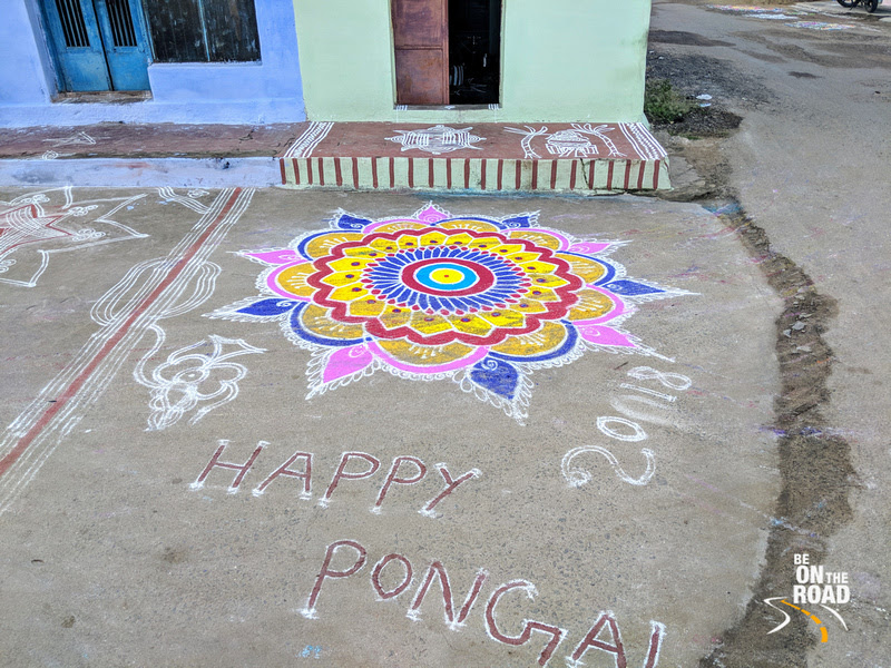 Colorful Kollams galore on the occasion of Pongal at Kallidaikurichi, Tamil Nadu