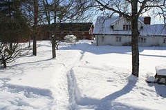 Vinterferie i Høland -09 025