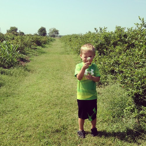photo-4