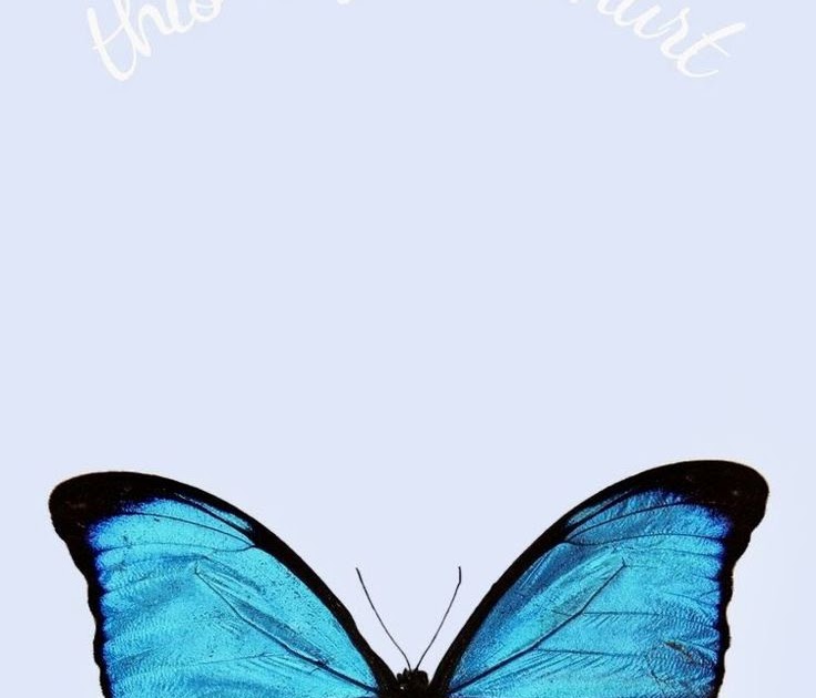 Blue Butterfly Wallpaper Vsco