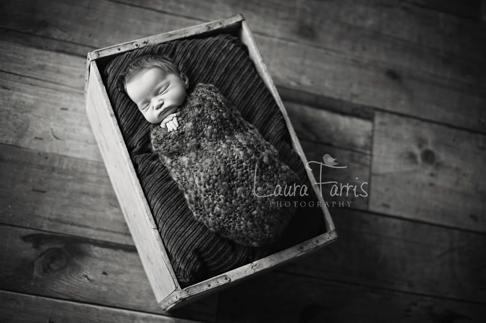 Boise newborn photographer