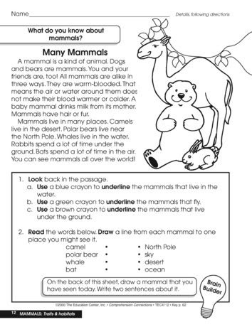 Mammals Activity Year 1 - Pets Lovers
