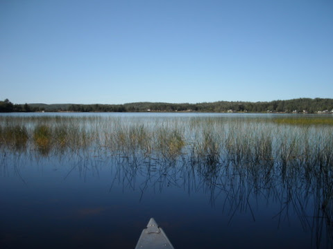 DSCN0819.JPG