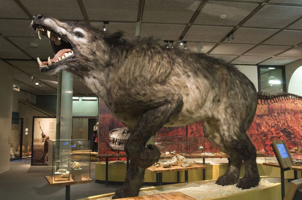 after the dinosaurs