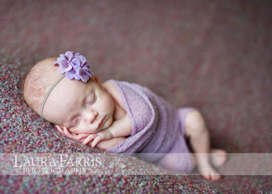 baby portraits boise idaho