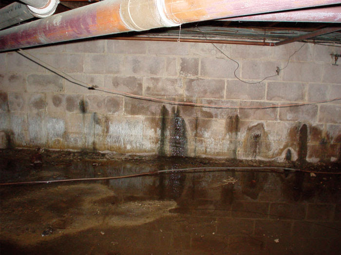 Basement Tips 20 New Mold On Cement Basement Floor