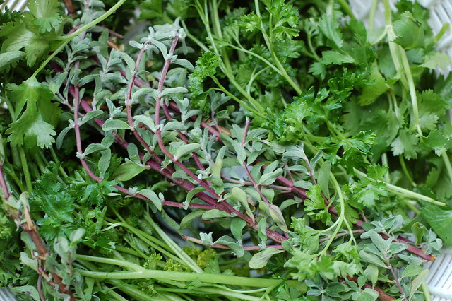 Herbs For Chimichurri Sauce by Eve Fox, Garden of Eating blog